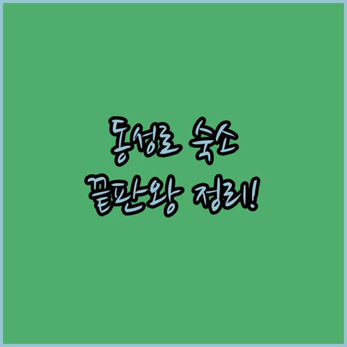 대구 동성로 가성비 숙소부터 럭셔리 ..
