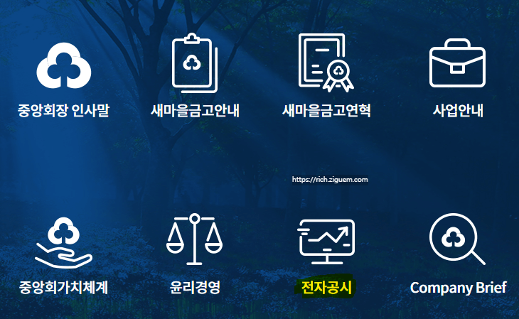 새마을금고 부실