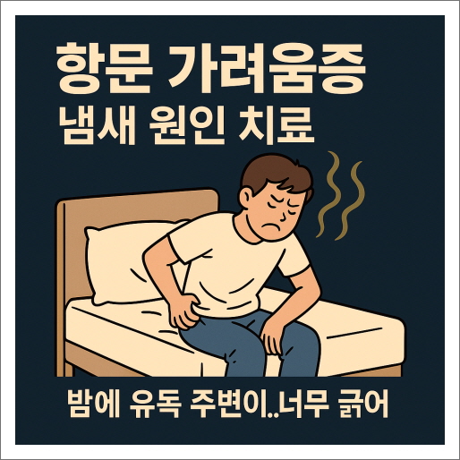 항문 가려움증 냄새 원인 치료 ❘ 밤에 유독 주변이,너무 긁어