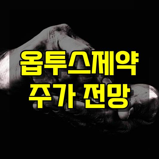 옵투스제약 주가 전망