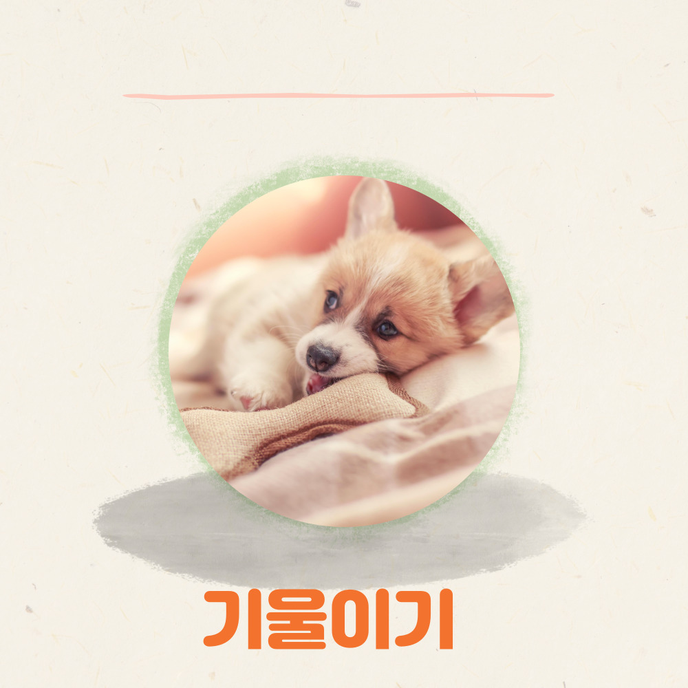 조치방법-기울이기