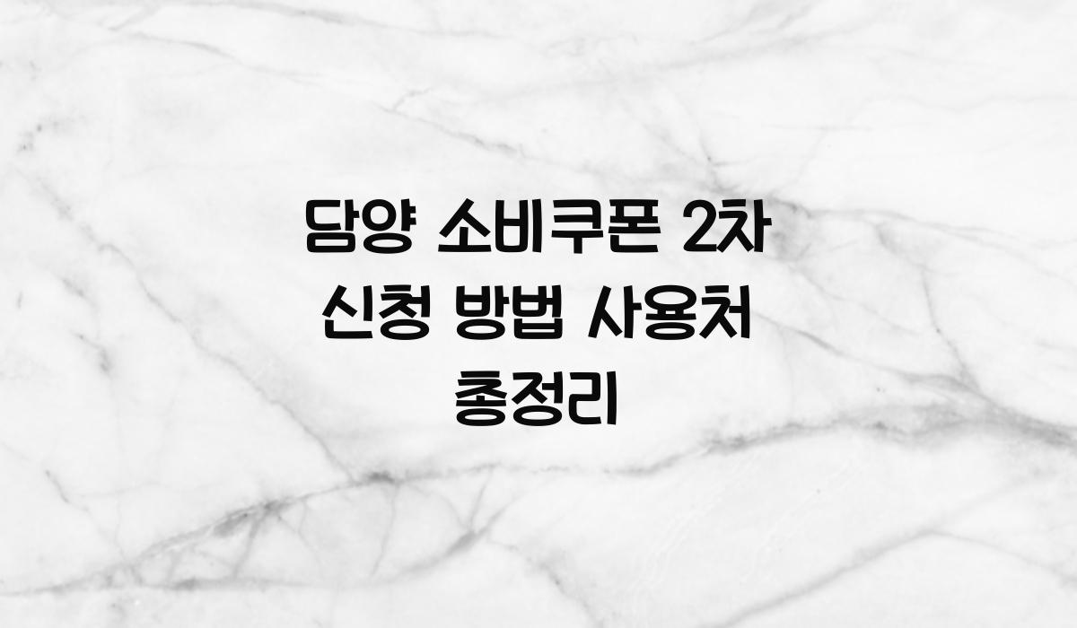 담양 소비쿠폰 2차 신청 방법 사용처 총정리