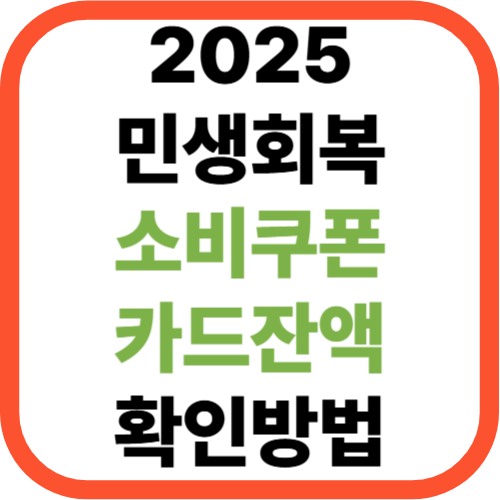 2025 민생회복 소비쿠폰 카드 잔액 확인 방법 [+최신 가이드]