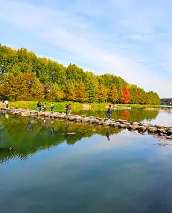 담양 맛집 베스트10 진짜 현지인만 아는곳_14