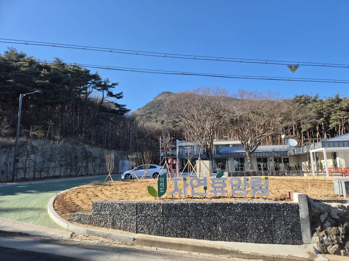 덕적도-자연휴양림