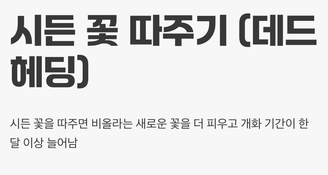 더 많은 꽃을 위한 즐거운 습관