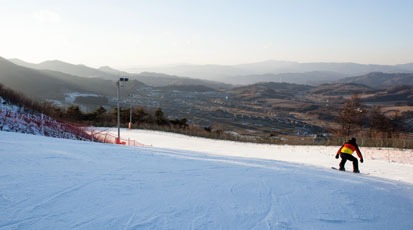 2025/2026 알펜시아 리조트 스키장 시즌권 완벽 가이드