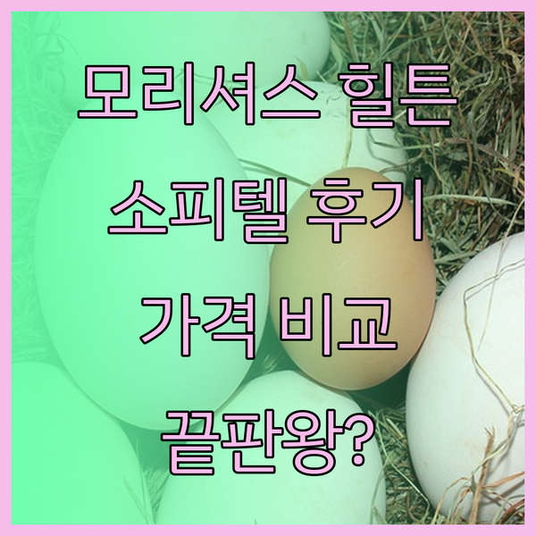 가성비 끝판왕? 모리셔스 힐튼 소피텔