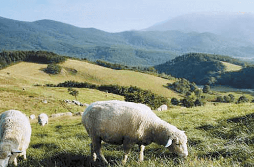 8월 국내 여행지 추천