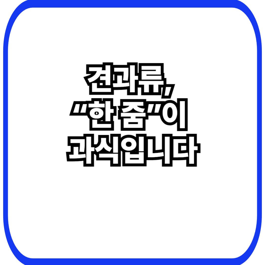 견과류는 얼마나 먹어야 할까? 40대 여성 ‘과다섭취’ 막는 현실 가이드(하루 권장량·먹는 타이밍·주의점)