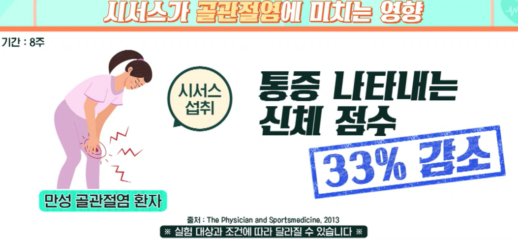 시서스 효능