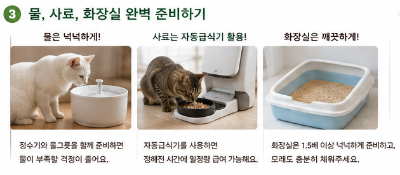 집냥이 혼자 집에 있을 때 외출 전 꼭 확인해야 할 안전관리 방법 등 주의사항 체크
