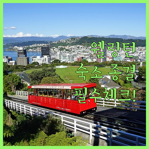 웰링턴 여행 필수 체크 가성비 호텔부..