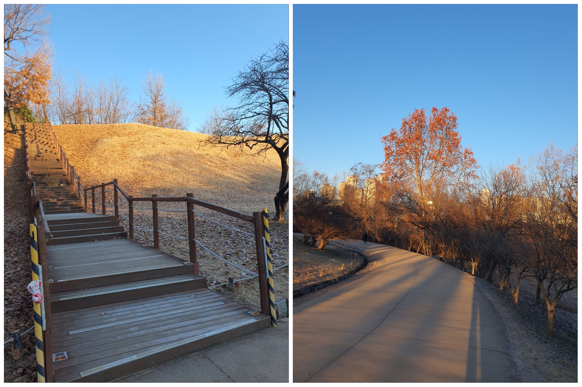 올림픽-공원은-산책로가-잘-구비되어-있습니다.