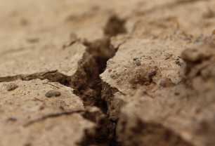 국토부-지적도-무료-열람