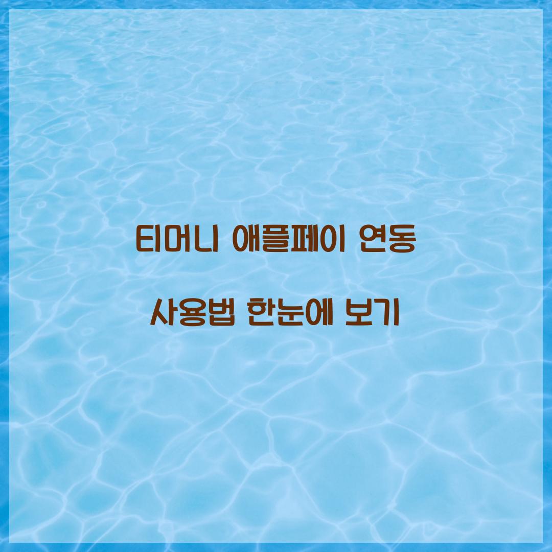티머니 애플페이 연동