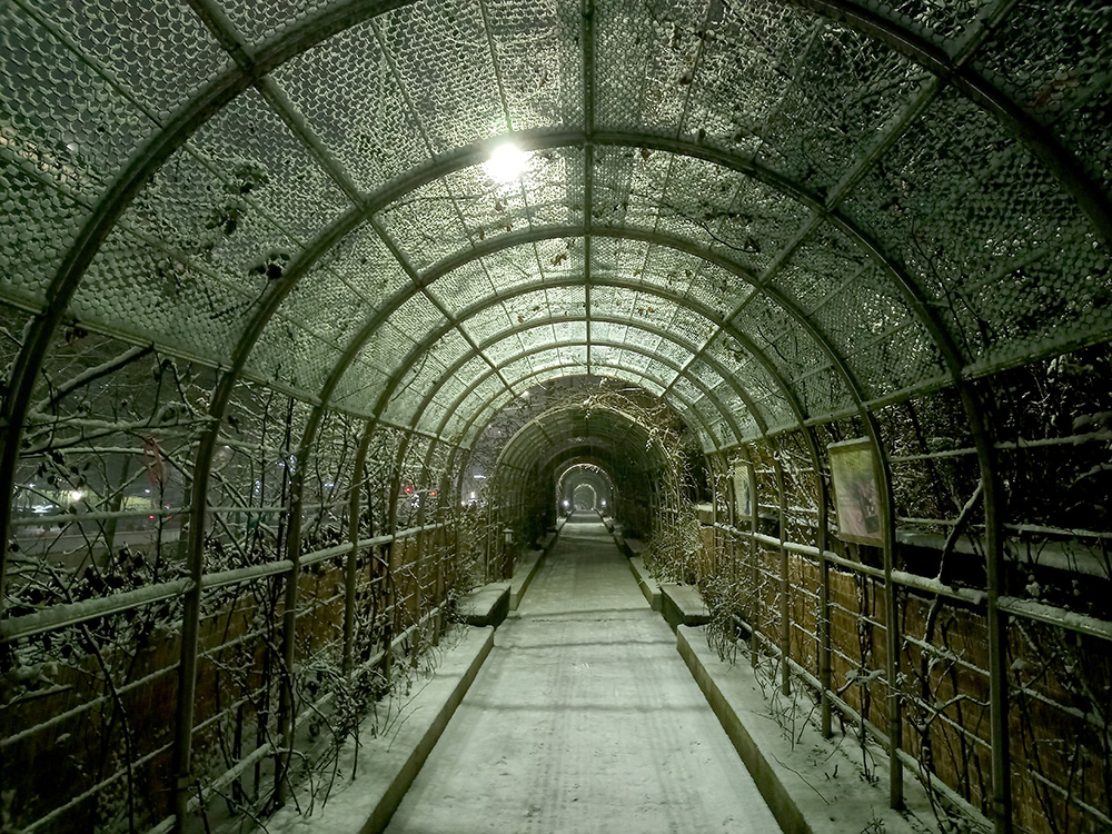 일산백마고등학교 걷기기부챌린지