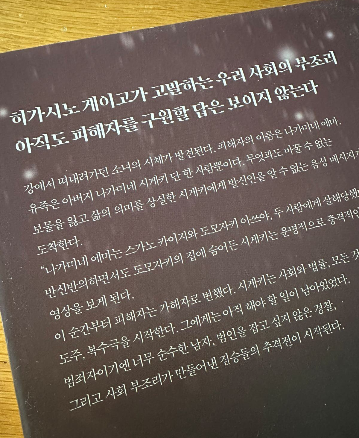 방황하는-칼날-뒤표지-히가시노-게이고가-고발하는-사회-부조리