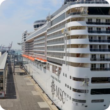 MSC 크루즈 예약 사이트 국내