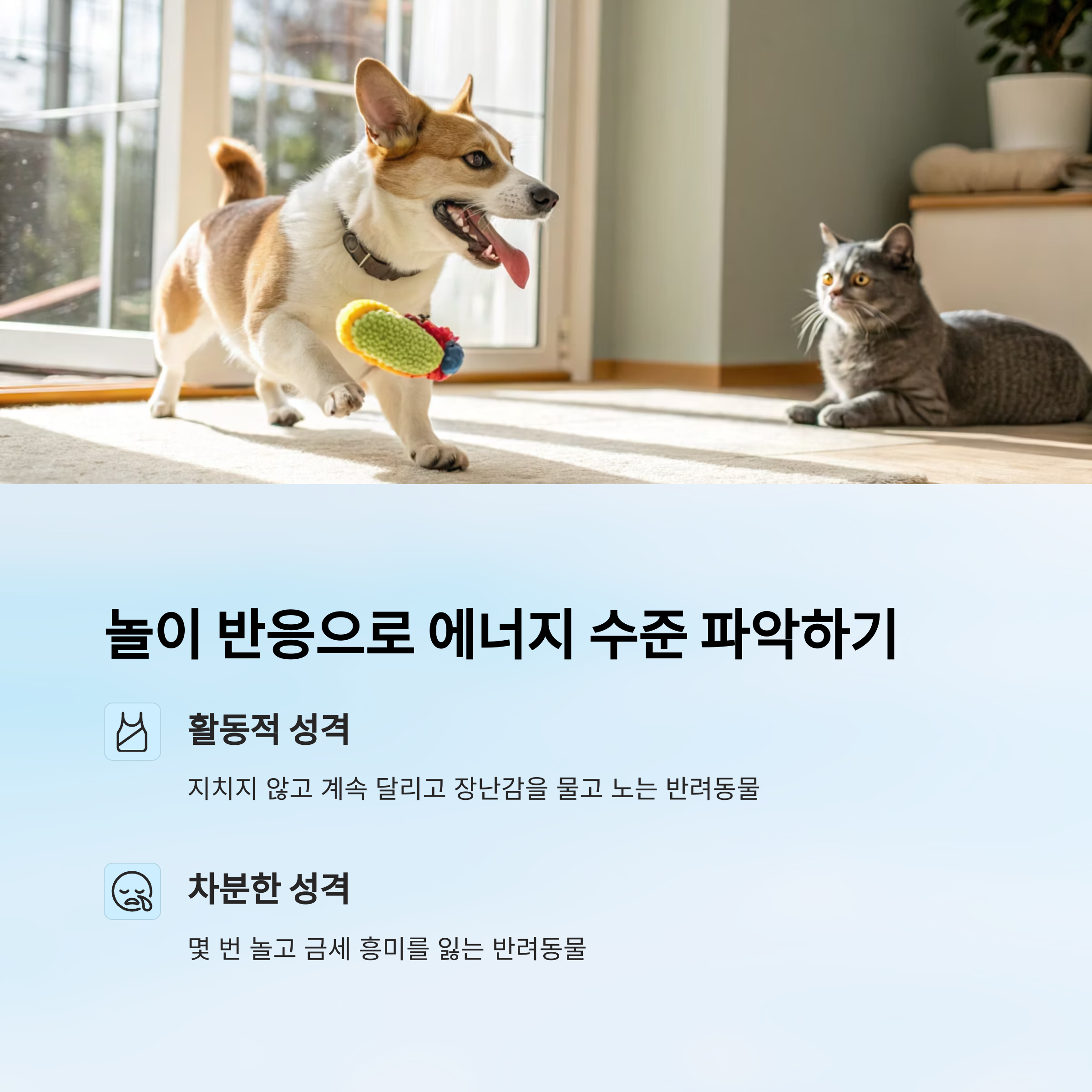 에너지수준파악