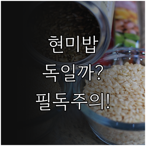 현미밥 식단 구성 시 주의사항과 자주..