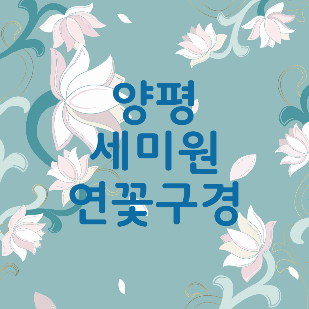 양평 세미원 연꽃