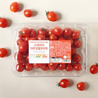 홈플러스 홈플런 전단 행사 쿠폰 혜택 총정리