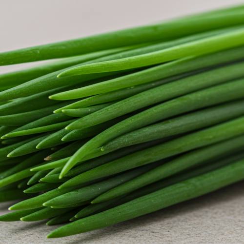 부추 요리 추천 재료