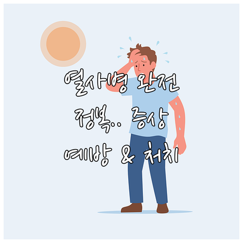 열사병 완전 정복: 증상, 예방, 응..
