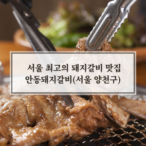 생방송 투데이 서울 최고 돼지갈비 맛집 안동돼지갈비
