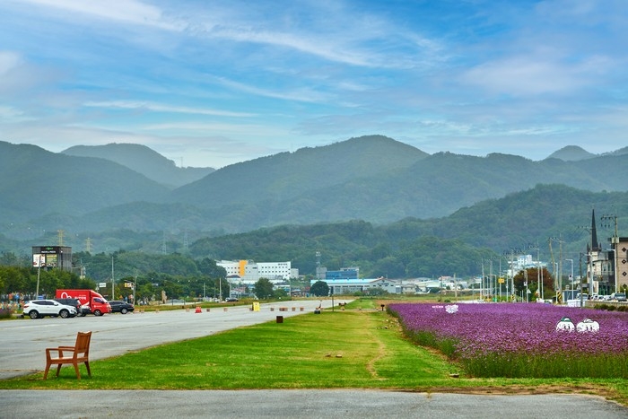 제천 가볼만한곳 베스트10