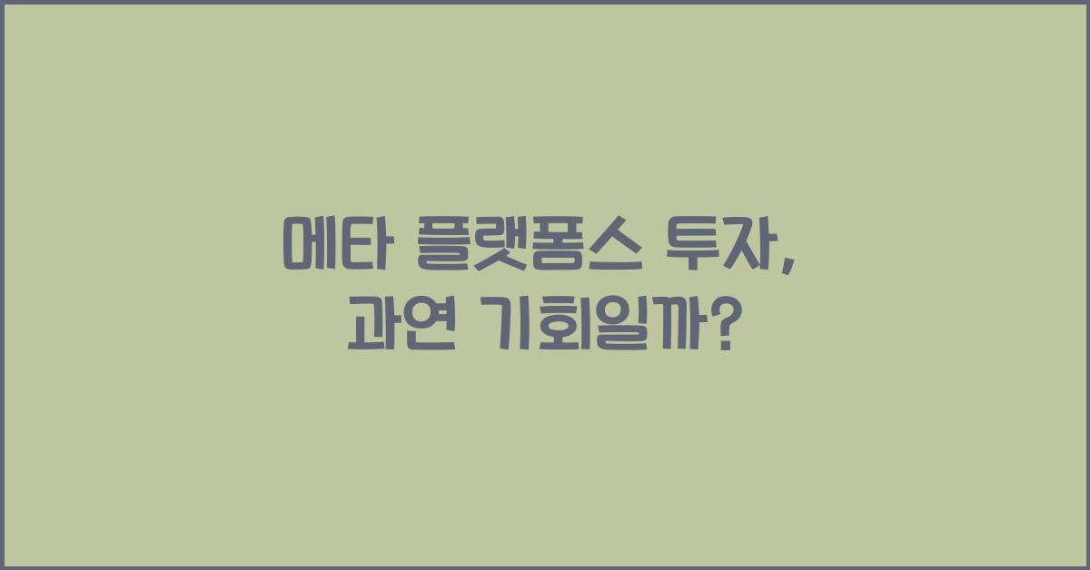 메타 플랫폼스 투자