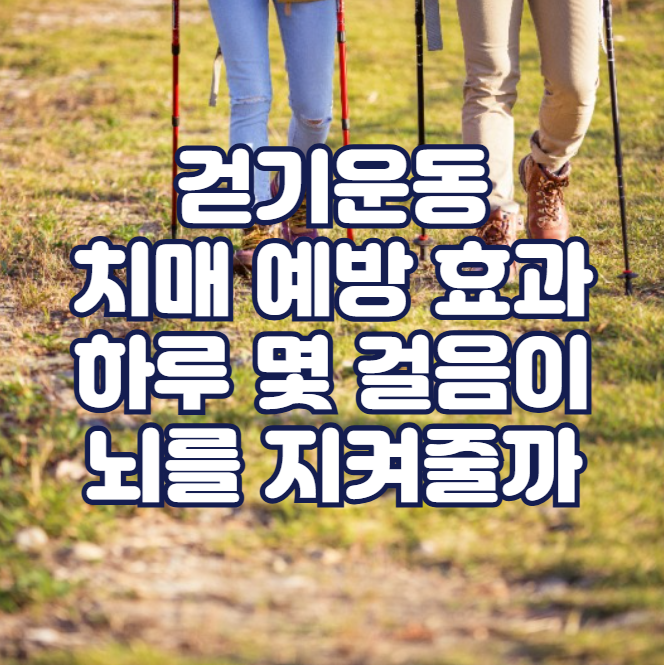 걷기운동 치매 예방 효과, 하루 몇 걸음이 뇌를 지켜줄까