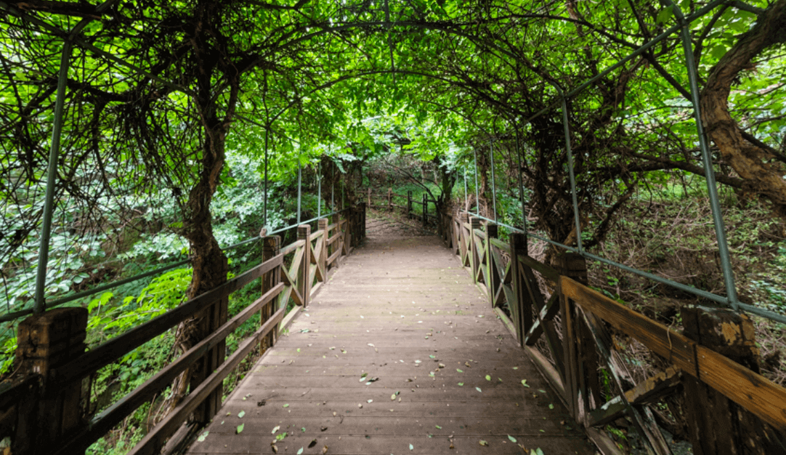 도산공원