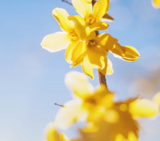 비타민D 부족 증상 섭취방법 많은 음식