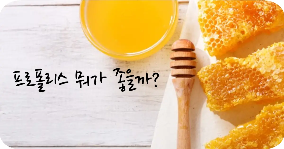 프로폴리스 효과 효능 아토피 피부염