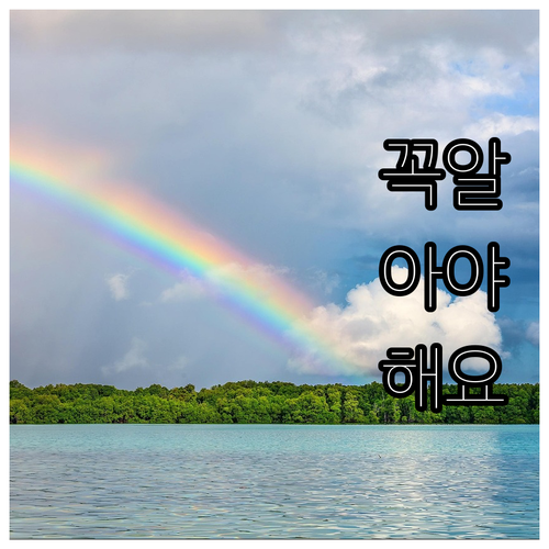 제주 가정위탁아동 2025 성장 지원..