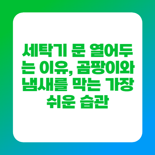 세탁기 문 열어두는 이유, 곰팡이와 냄새를 막는 가장 쉬운 습관