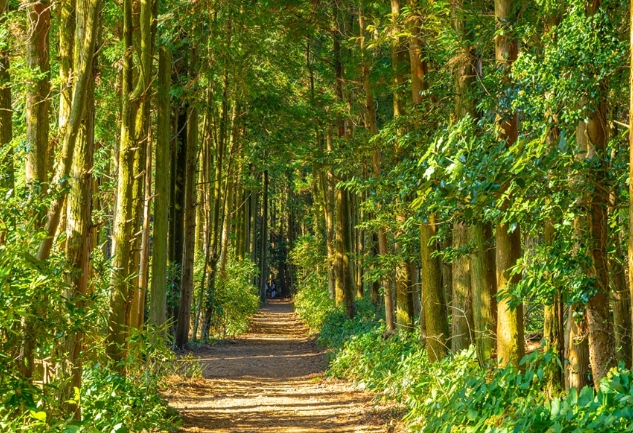 가을여행/11월/제주/감성/여행지