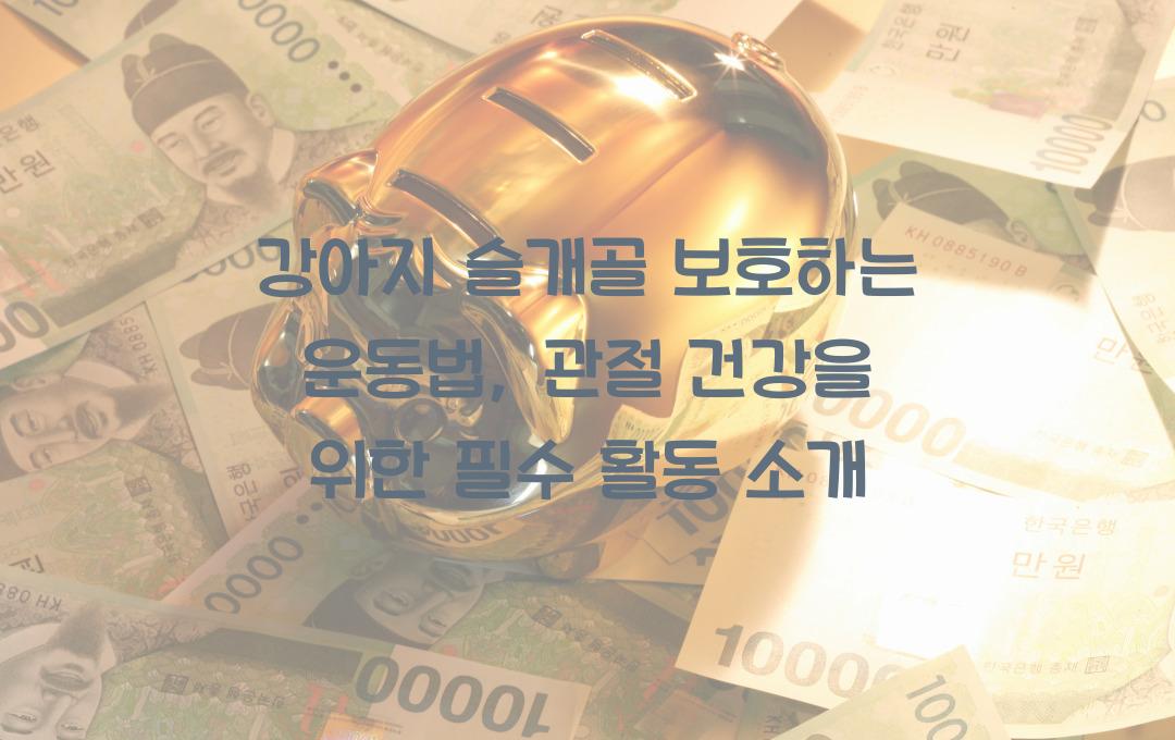 강아지 슬개골 보호하는 운동법, 관절 건강을 위한 필수 활동