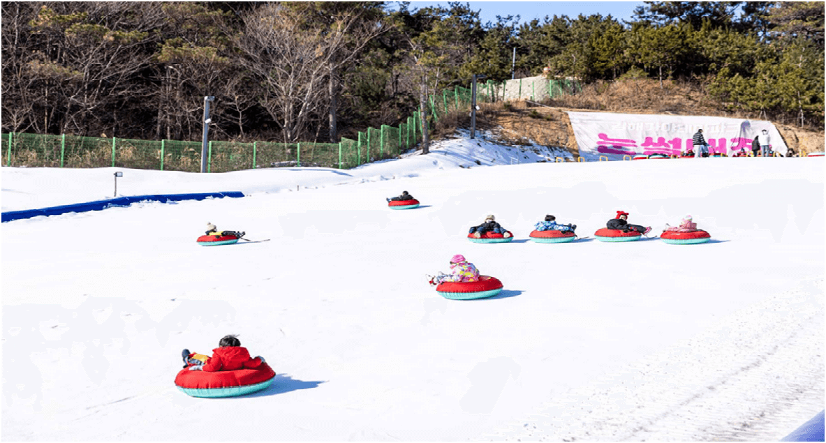 2025 설 연휴 경남 아이들과 가볼만한 곳 (3편 : 볼거리, 즐길거리, 먹거리가 있는 체험‧테마파크)