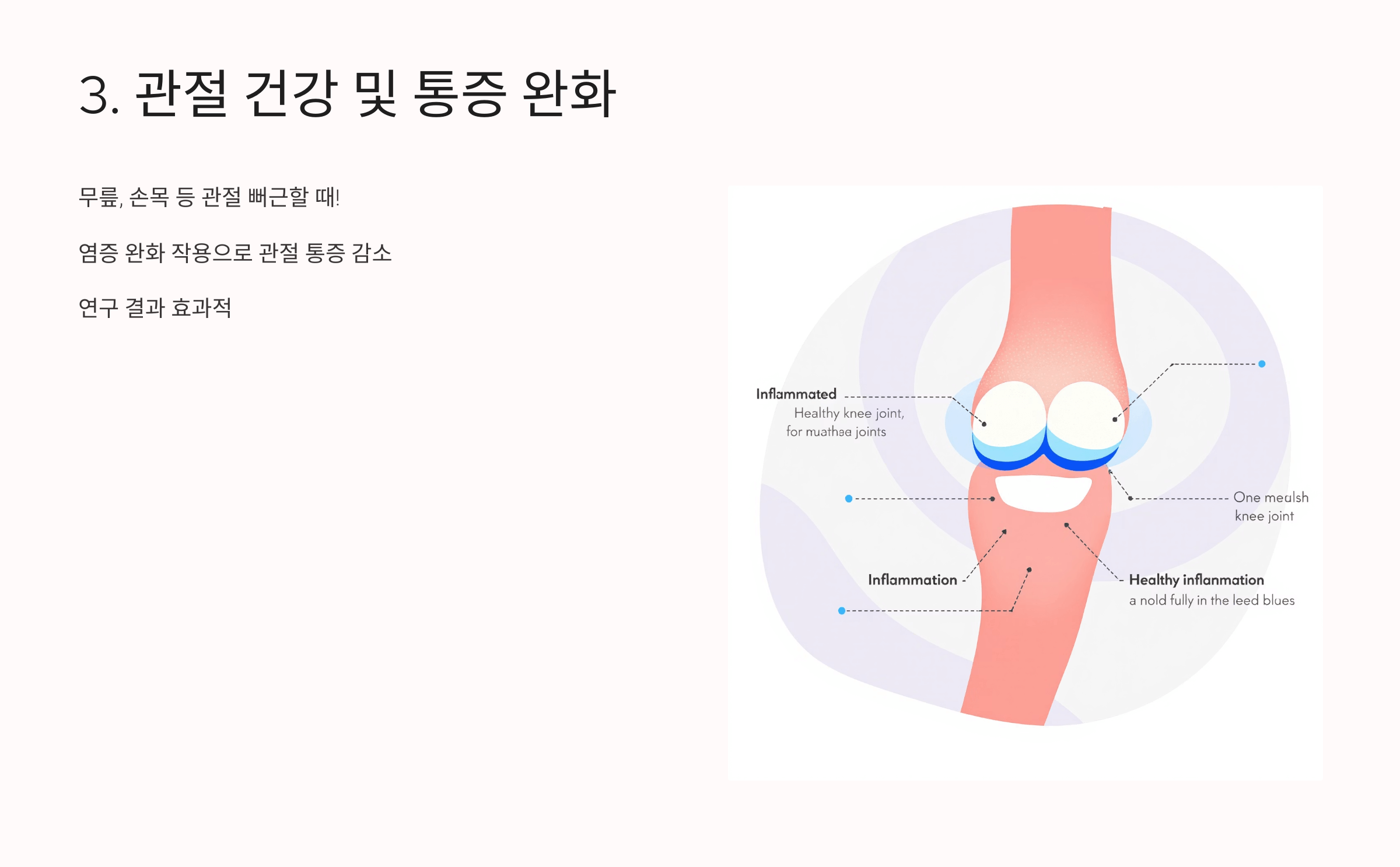 크릴오일 사진입니다.