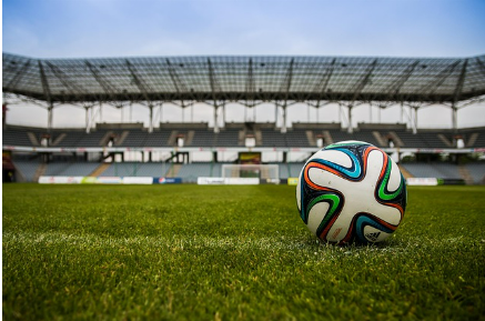 신문 무료구독 신청 스포츠지