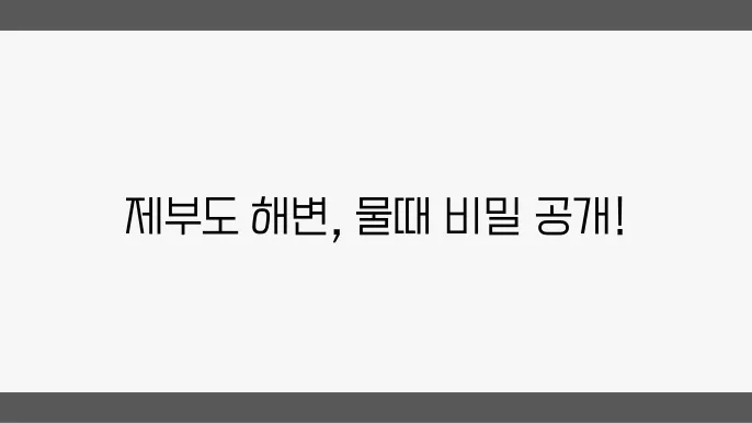 제부도 물때 시간표 확인하는 법