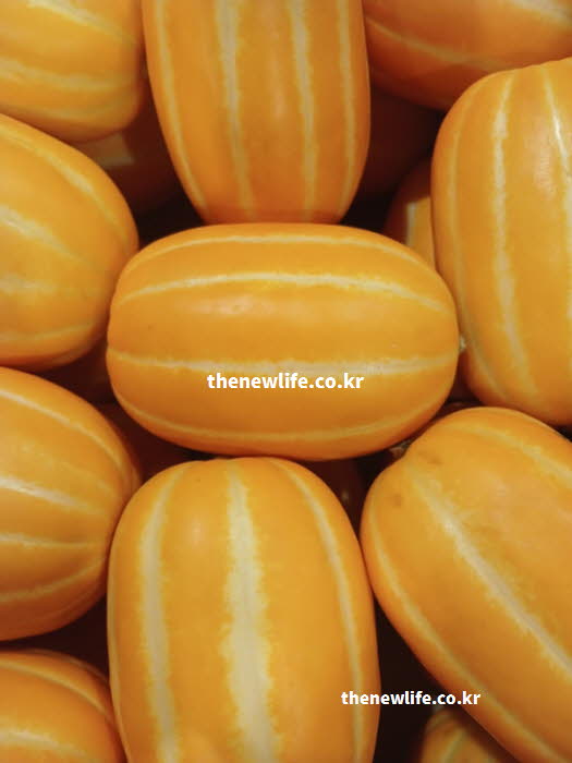 참외 효능의 해독 작용에 도움을 주는 쿠쿠르비타신이 포함된 참외 실사진