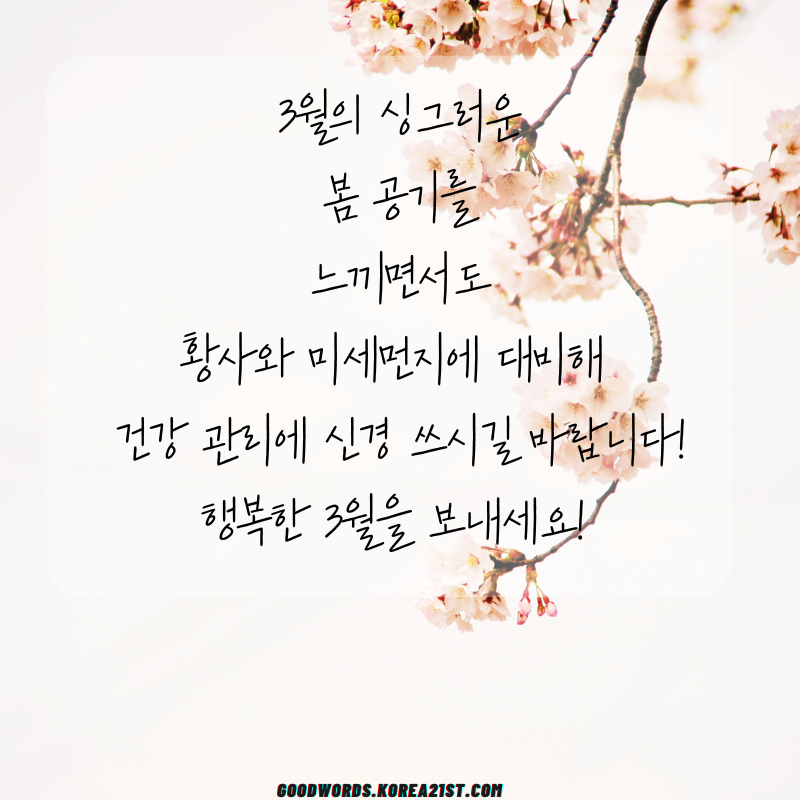 3월 인사말 문구 이미지 모음집
