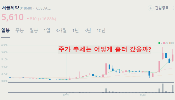 화이자 관련주 대장주 TOP10