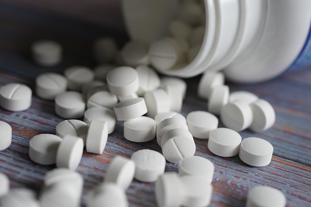 한국 GMP vs 미국 FDA cGMP 주요 차이점과 최신 적용 사례