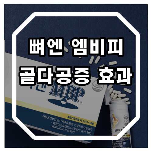 뼈엔 MBP 효능 가격 정보