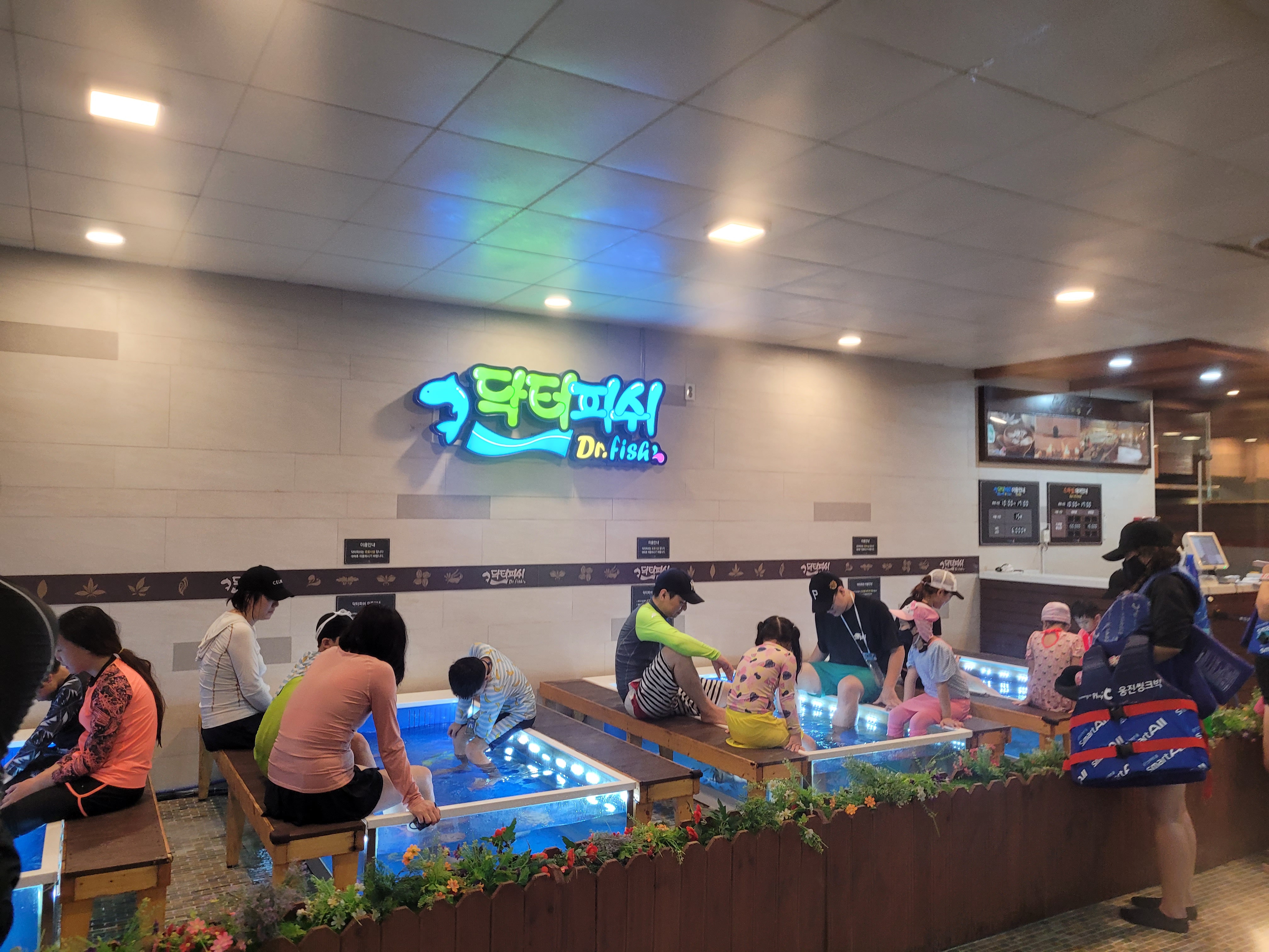 닥터피쉬체험